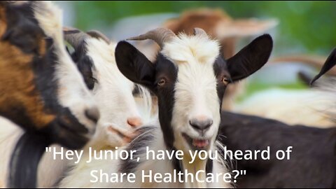 Share HealthCare - Talking Goats