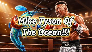 Mike Tyson of the Ocean: The Mantis Shrimps Superpower!