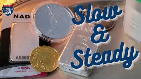 Stacking Fractional Gold & Silver Coins Slow and Steady in 2022