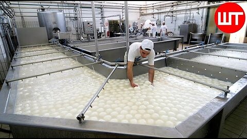 How Fresh Mozzarella Is Made | The Process Of Making Cheese