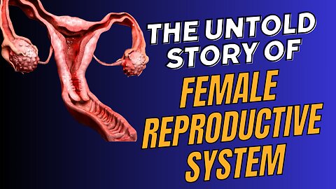 The Wonders Down Under: A Journey Through the Female Reproductive
