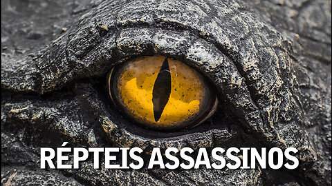 Répteis Assassinos | Killer Reptiles | JV Jornalismo Verdade