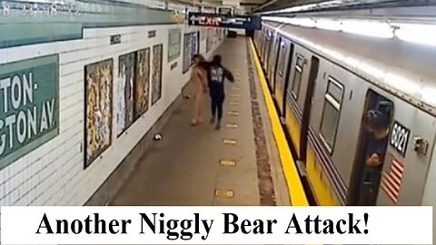 White girl sucker punched by black man in Brooklyn subway