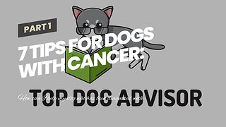 7 Tips for Dogs With Cancer: