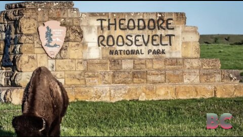 Bison injures woman visiting Theodore Roosevelt National Park