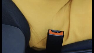 NHTSA proposes alarm for back seatbelt usage
