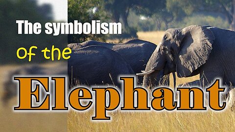 The Symbolism of the Elephant