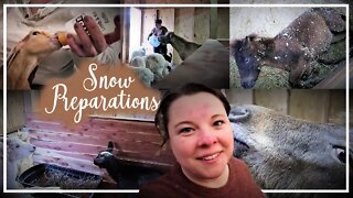 Preparing For Snow//Funny Sunny//Mini Horse//New Bottle Babies