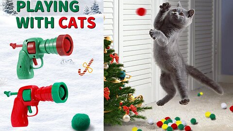 CHRISTMAS GIFT FOR CATS 😱😱