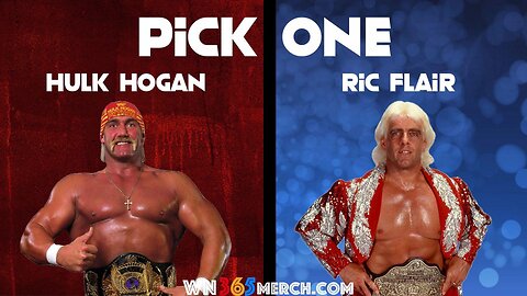 Hulk Hogan VS Ric Flair November 1991 WWF