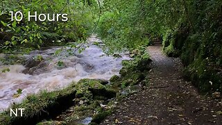 Wild River Sounds | Flowing Water Sounds Over Rocks and soft rain for Sleep or Study