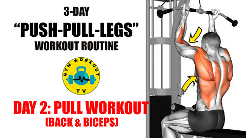 3-Day PPL Workout Routine. Day 2- Pull Workout (Back & Biceps)
