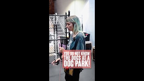 You Do Not Know The Dogs At A Dog Park