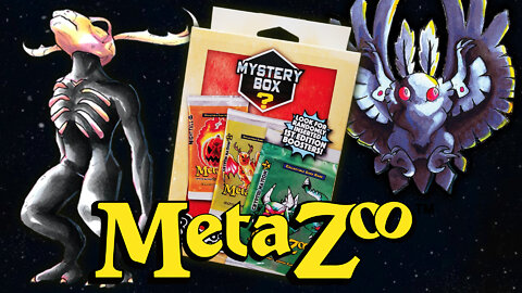 Opening Two Meta Zoo Mystery Boxes!