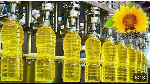 MEGA SUNFLOWER OIL FACTORY | How Sunflowers are Harvested