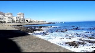 SOUTH AFRICA - Cape Town - Table Bay Kayaking (Video) (R5x)