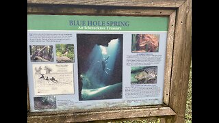 2nd Spring Ichetucknee/Blue Hole Spring