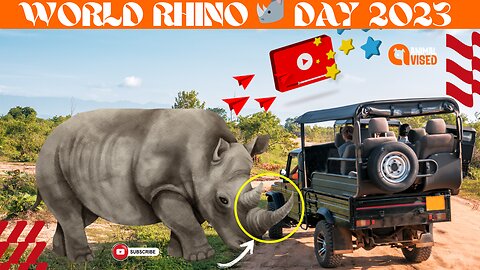 Unlocking Rhino Secrets 🦏 | World Rhino Day 2023 Guide | Animal Vised Exclusive!