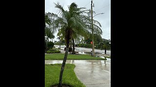 Tropical Storm Debby | Update 5 | 4K