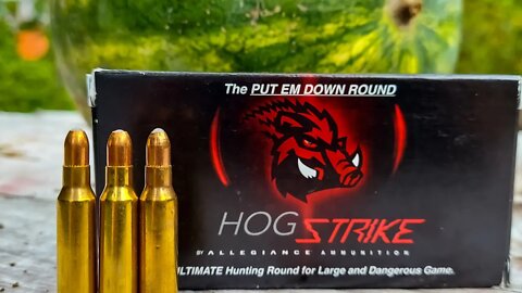 Ultimate Hunting Round 🐗 🦌 🐻 | Allegiance Ammunition HogStrike