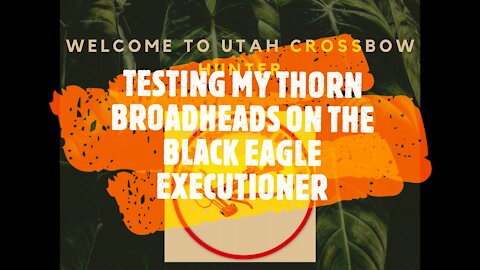 TESTING THE THORN BROADHEADS ON THE BLACK EAGLE EXECUTIONER