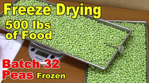 Freeze Drying Your First 500 lbs of Food - Batch 32 - Peas, Frozen