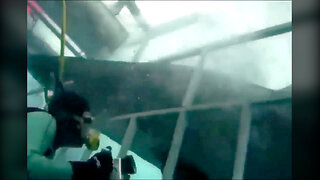 Shark Diving Gone Wrong!! What Happens When a Giant Shark Breaks Through the Cage