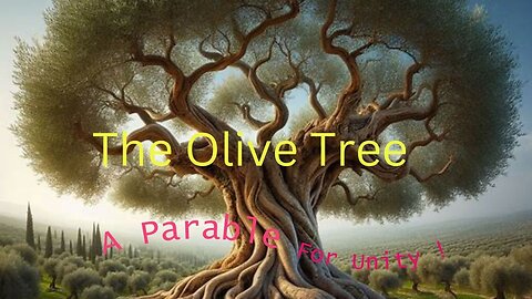 The Olive Tree! A Parable of Unity!