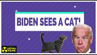 Biden Sees A Cat!