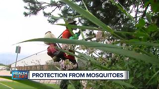 Protection from mosquitoes