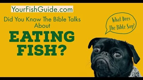 What Does The Bible Say About Eating Fish? ~ YOU WISHED YOU WATCHED THIS FIRST