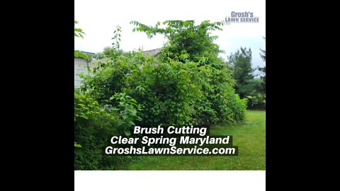 Brush Cutting Clear Spring Maryland Landscape Company