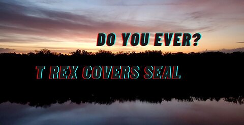 Do you ever - Seal cover