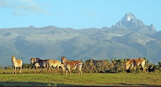 Getting Lost in the middle of Mt. Kenya