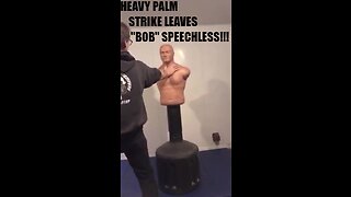 HEAVY PALM STRIKE LEAVES "BOB" SPEECHLESS !!!