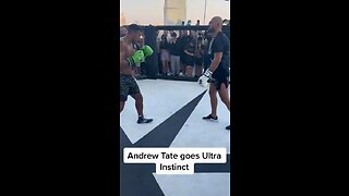 WATCHING ANDREW TATE SPAR