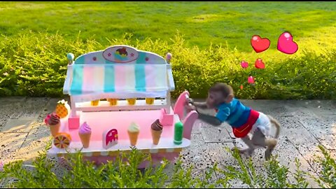 Monkey Baby Bon Bon feeds baby with a bottle and plays with ducklings in the pool