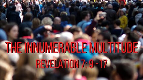 The innumerable multitude - 7 March 21