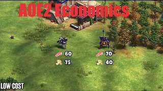 The Economics of AOE