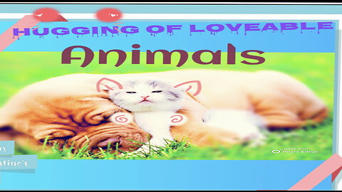 Loveable animals and their way of expressing love