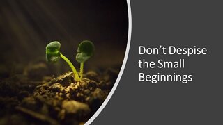 Don't Despise the Small Beginnings