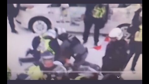 Ottawa Police Assault Trucker