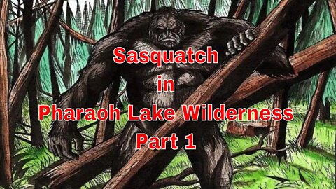 Sasquatch in Pharaoh Lake Wilderness Part 1