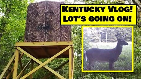 Kentucky Land VLOG; Trail cams, Fall food plots, deer towers & farmhouse rehab update!