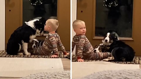 Little Boy Talks & Cuddles With His Puppies