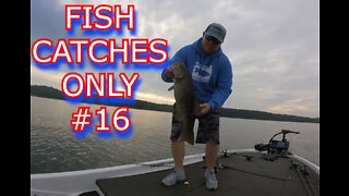 Surprise Catch...Big Summer Smallmouth At Pickwick!!!