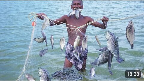 POOL FISH HUNTING Catching and Cooking