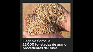 Somalia recibe el primer envío de 25.000 toneladas de grano de Rusia