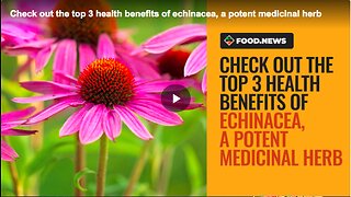 Three health benefits of echinacea