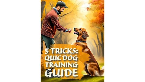 5 Tricks Quick Dog Training